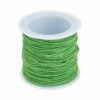 Nylon elastisch textil Farbauswahl • 1 mm • 21 Meter (0,17€/m) - apfel grün