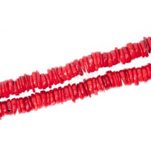 Disques de corail mousse rouge environ 2,5 x 12 mm, 1 brin