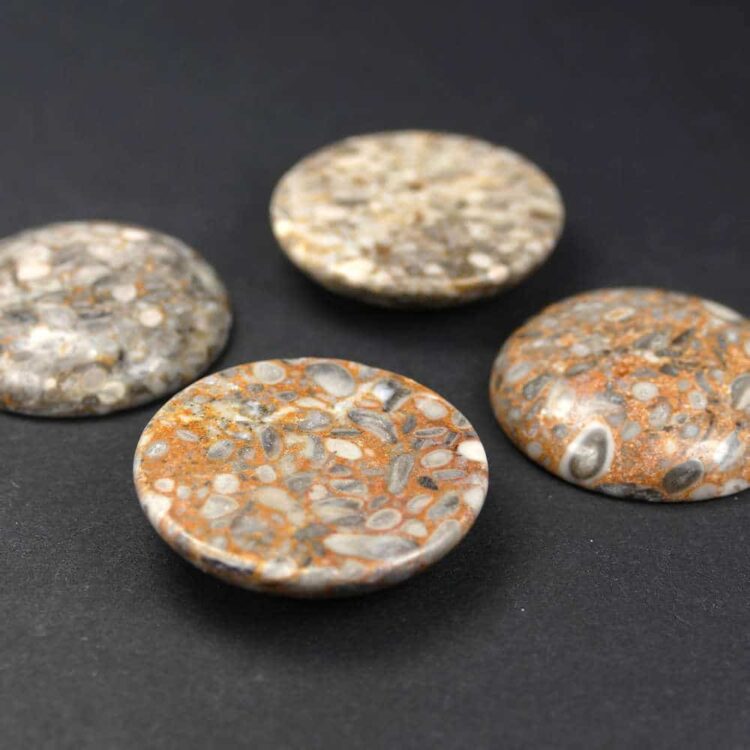 Oceanic fossils cabochon