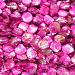 Pepite di madreperla rosa circa 18 x 18 mm, 1 capo