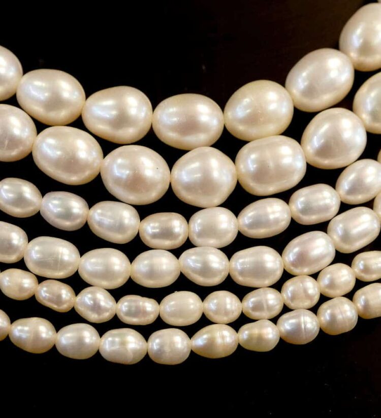 Freshwater pearls oval smooth cream