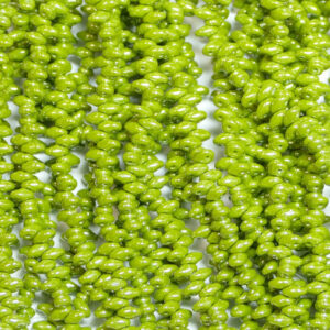 SuperDuo Beads Twin 2.5 × 5 mm Opaque Green White Luster (56), 1 strand
